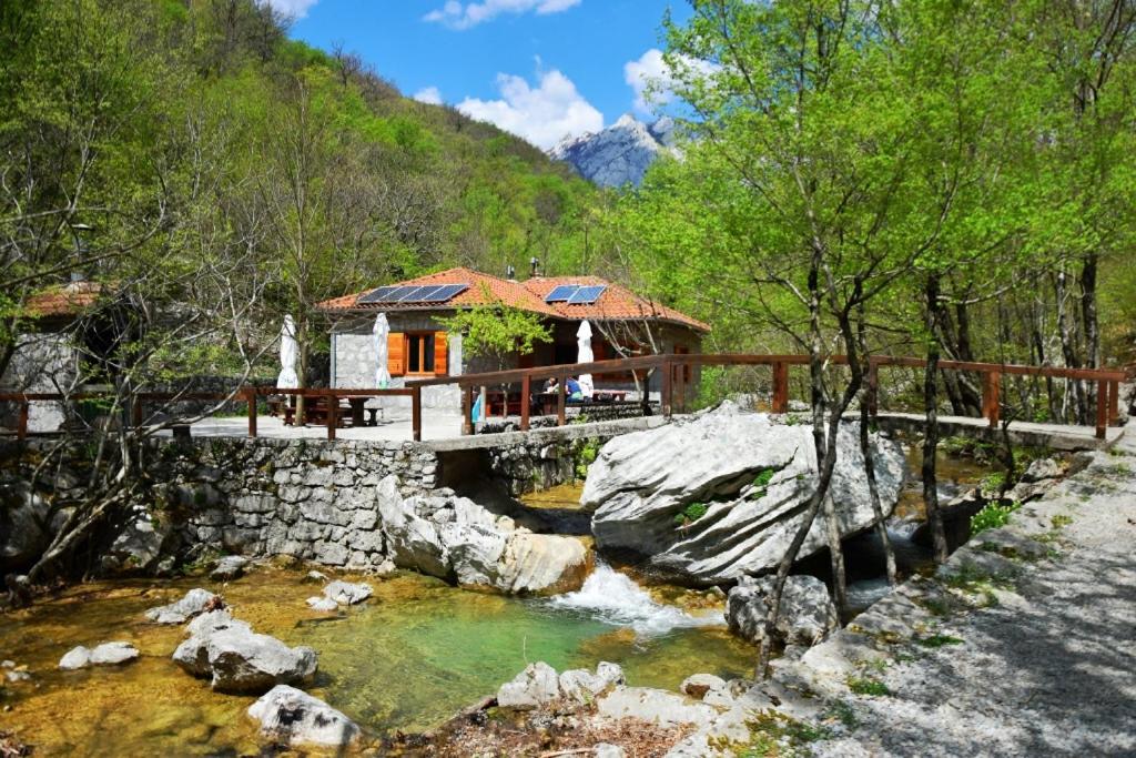 Apartmani Goga Seline Exterior foto